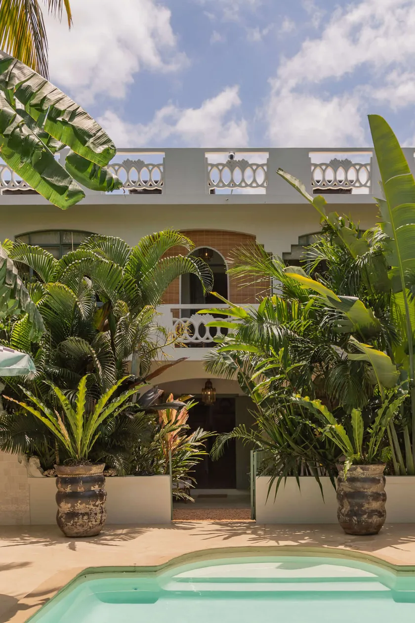 The arched entrance of the house between two large potted ferns, seen across the pool