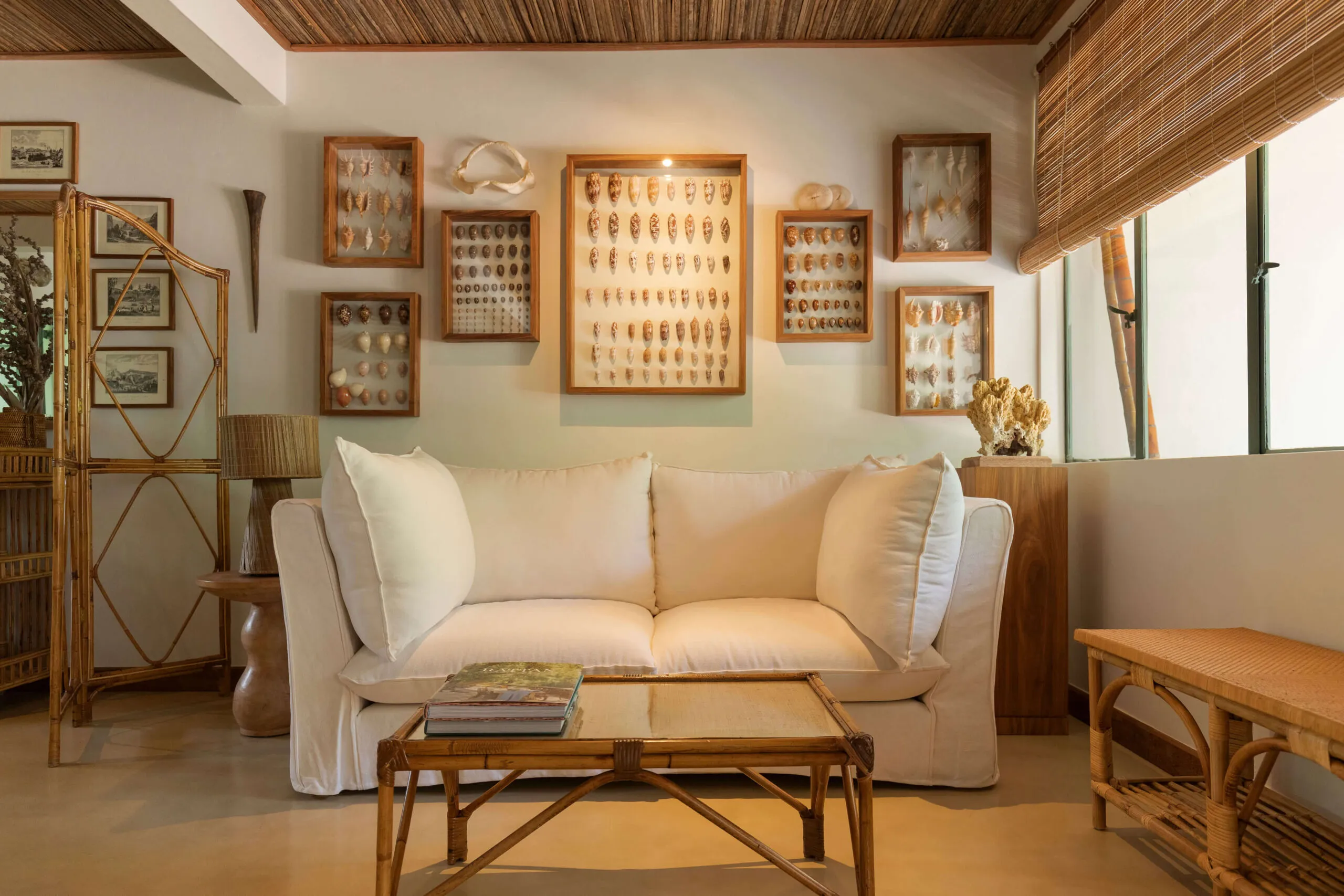 Belgian linen sofa framed by a curated collection of natural objects